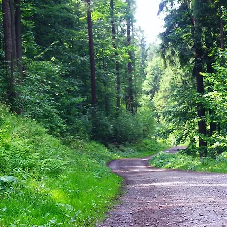 Pod Dębowcem Bielsko-Biała