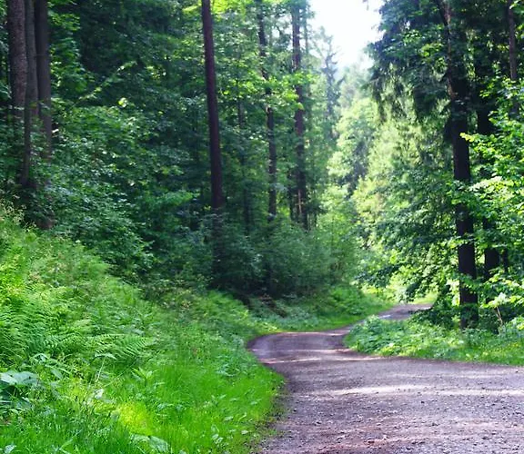 Pod Debowcem Bielsko-Biala